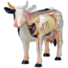 Anatomia Da Vaca Bovino 4d Vision Medicine