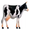 Anatomia Da Vaca Bovino 4d Vision Medicine - Imagem 4