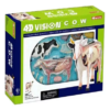 Anatomia Da Vaca Bovino 4d Vision Medicine - Imagem 6