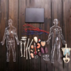 Anatomia Do Corpo Humano - Imagem 2