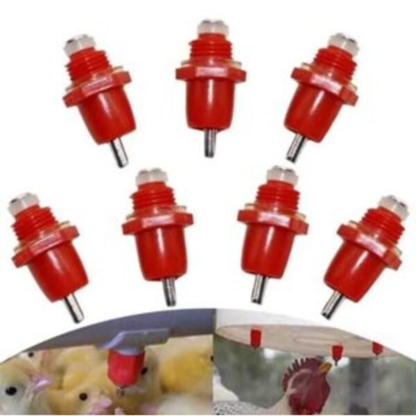 10 Bebedouro Automático Aves Galinha Frango - Imagem 5