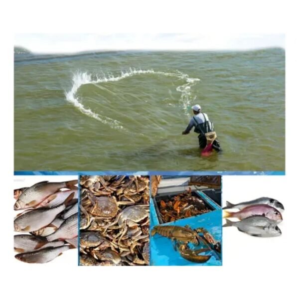 Rede De Caça Lambari Tilapia Carpa Guerra Dos Games Tarrafa Azul - Imagem 5