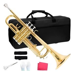 Trompete Profissional Si Bemol B Dourado Laqueado Case