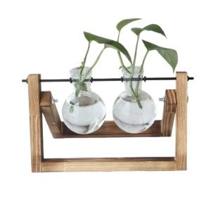 Vaso De Vidro Terrário Com Suporte Madeira Escritorio Casa Cor Marrom-clar